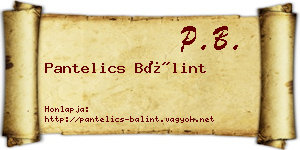 Pantelics Bálint névjegykártya